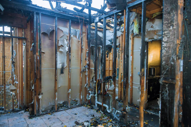 Professional Fire Damage Assessment technician working in Hemlock, MI